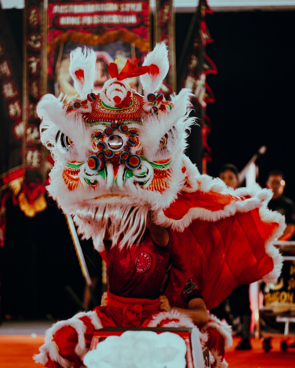 Dragon-style lion dance performance at the national competition